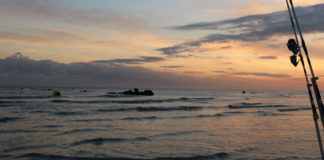 Lever du jour en surfcasting, l’un des meilleurs moments… Lever du jour en surfcasting, l'un des meilleurs moments...