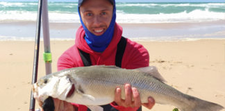 Les poissons sont là et ils sont gros ! Les poissons sont là