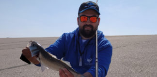 Pêche du bar à la digue du Braek Pêche du bar à la digue du Braek