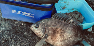 Sortez des sentiers battus ! Sortez des sentiers battus !