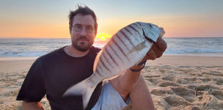 Débuter le surfcasting en Aquitaine et dans les Landes Débuter le surfcasting en Aquitaine et dans les Landes