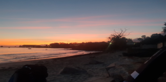 Bien débuter en Surfcasting en Corse.
