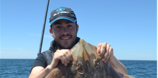 Spécial raies entre les Îles de Ré et Oléron