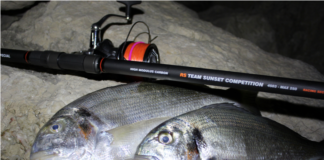 Débuter le surfcasting en région PACA