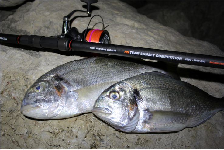 Debuter Le Surfcasting En Region Paca Sunset Fishing