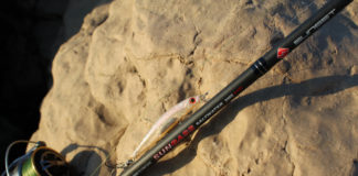 La pêche au leurre du bord