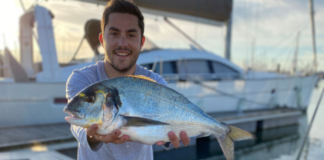 La pêche de la daurade royale dans les ports Français