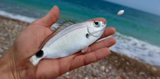 Faites décoller vos appâts.