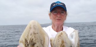 A la recherche des seiches.