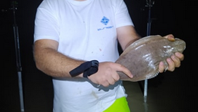 Sortie nocturne sur la Digue du Braek