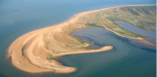 Surfcasting : Comment pêcher les plages de Vendée.