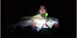 Focus sur la plage de Courseulles-sur-mer.