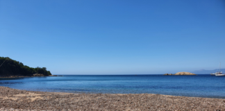 Session de Pêche sur une Île Paradisiaque