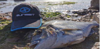 La belle aux sourcils d’Or.