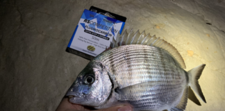 Conseils pêche hivernale Part 1