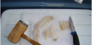 Cibler une espèce en fonction des appâts