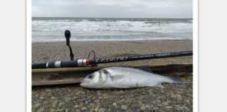 1ère sortie digue du braek.