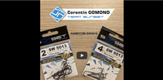 Quel Hameçon pour quel appât ?