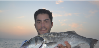 Bien aborder une chasse de mouettes