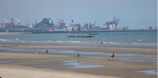 Quelles sont les meilleures marées pour pêcher dans les Hauts-de-France ?