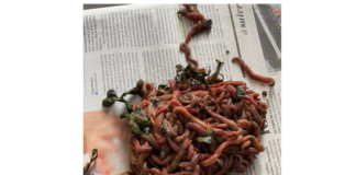 Comment conserver ses appâts ?