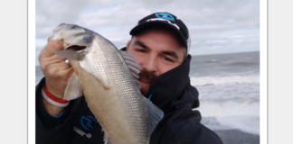 Hauts de France : La digue du Braek