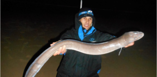 LA SAISON DE SURFCASTING APPROCHE