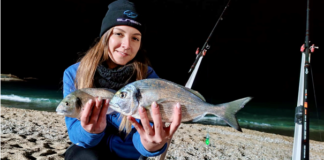 Rechercher la dorade royale en surfcasting