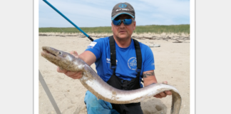 UN ADVERSAIRE PUISSANT ET MALIN  ” LE CONGRE “