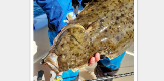 Préparer son voyage de pêche.