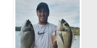 Objectif : daurades royales !