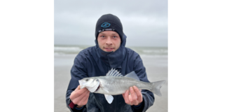 Pêche en surfcasting pour les débutants