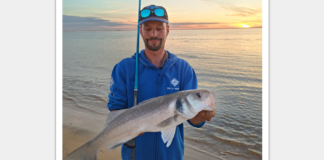 Comment pêcher de nuit de gros poissons ?