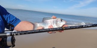 Pêche en Prospection pour les débutants