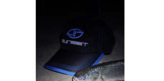 Pêcher le mulet du bord – Méditerranée