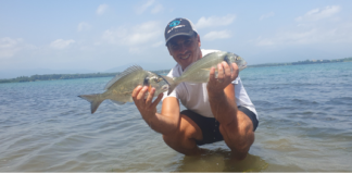 TEST SUNSET PALOMA BEACH SW20 +