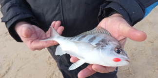 A QUOI SERVENT LES PERLES FLOTTANTES ?