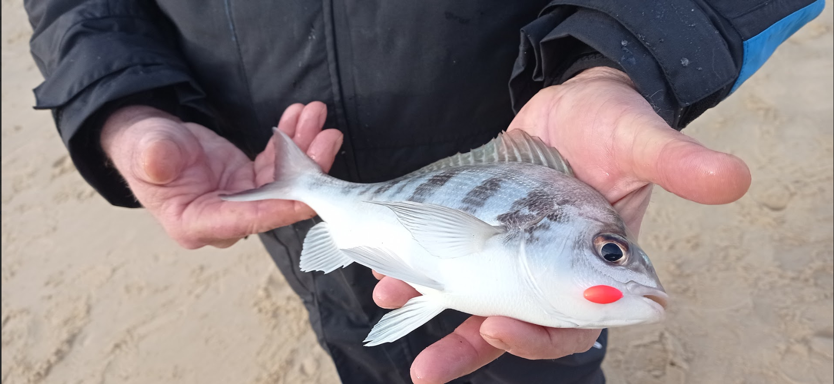 Kit De 120 Perles Flottantes Cinétiques M 8mm - Pour Pêche En Mer, Appâts, Couleur Variée