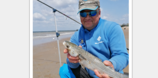 Tout savoir sur le ver de vase.