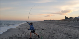 Sortie surfcasting avec les enfants