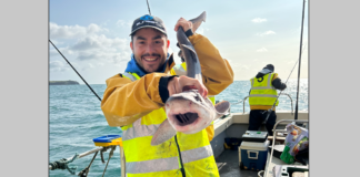 Tempête en Irlande et pluie de médailles sur la France Tempête en Irlande et pluie de médailles sur la France