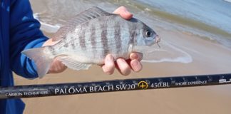 Surfcasting Spécial initiation