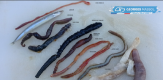 L’ART DE GARDER SES APPÂTS.