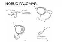 LES PRINCIPAUX NŒUDS DE PÊCHE : LE NŒUD PALOMAR