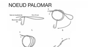 LES PRINCIPAUX NŒUDS DE PÊCHE : LE NŒUD PALOMAR