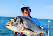 Paroles d’un Passionné