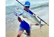 La pêche de la liche du bord.